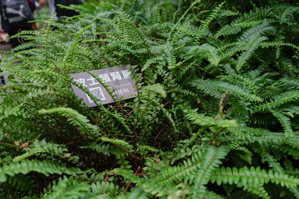 台北典藏植物園，免費森林打卡景點充滿芬多精，親子景點雨天備案
