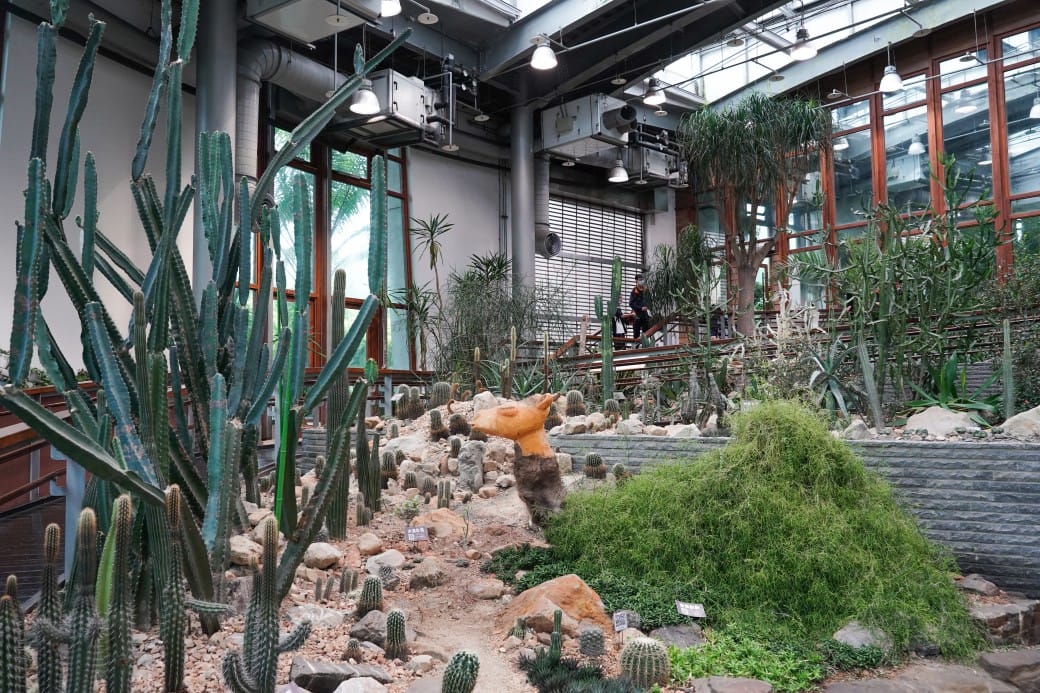 台北典藏植物園，免費森林打卡景點充滿芬多精，親子景點雨天備案