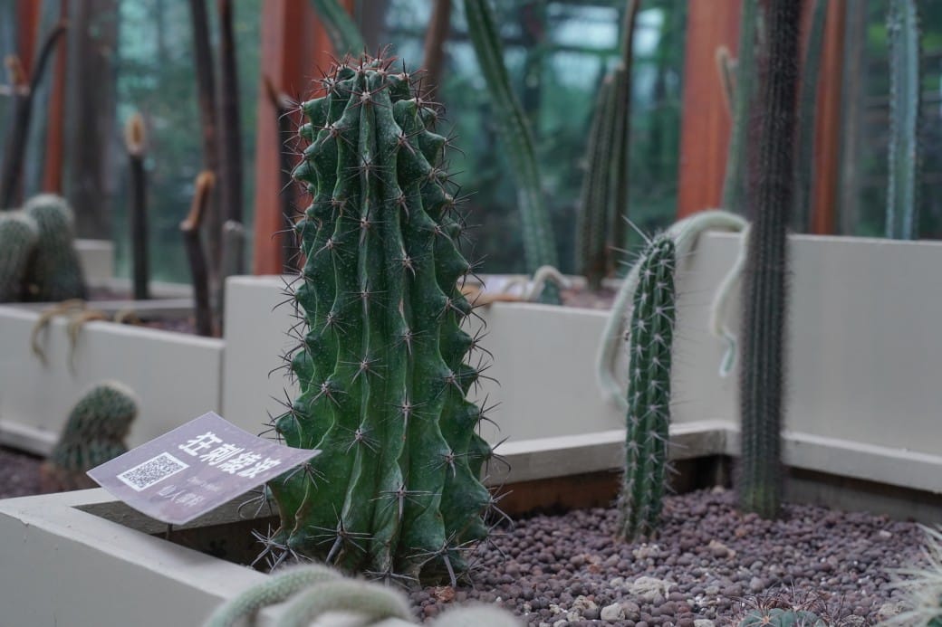 台北典藏植物園，免費森林打卡景點充滿芬多精，親子景點雨天備案