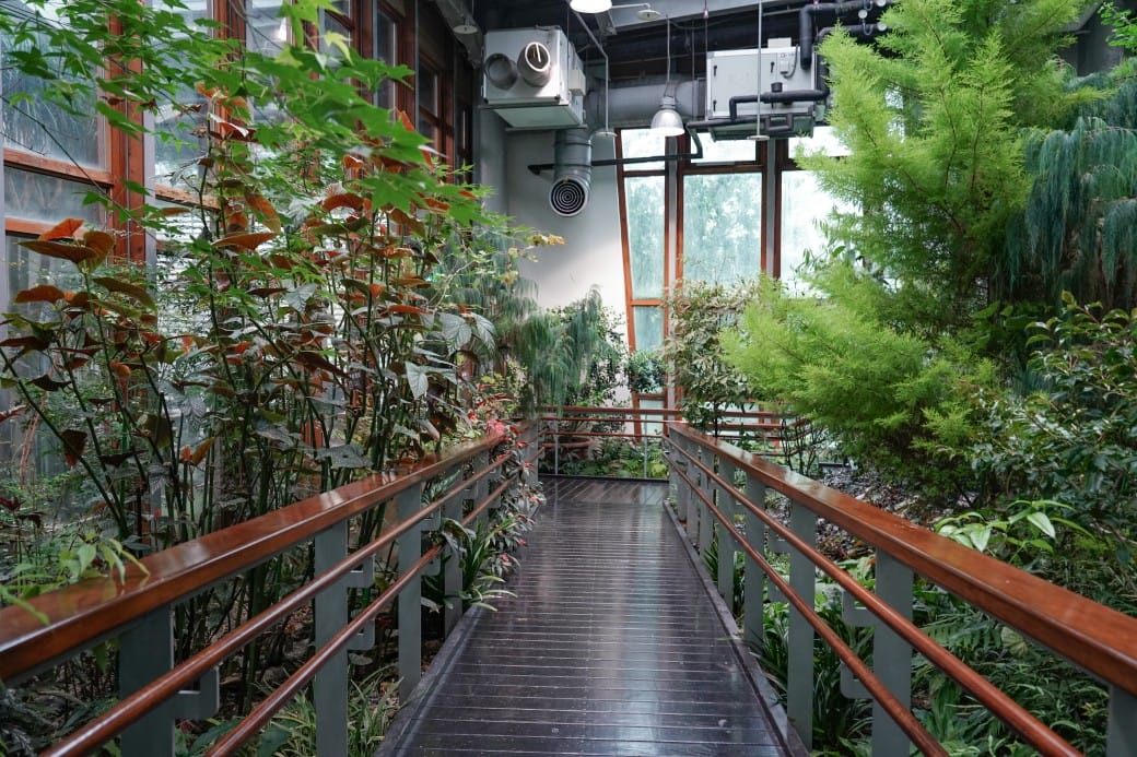 台北典藏植物園，免費森林打卡景點充滿芬多精，親子景點雨天備案