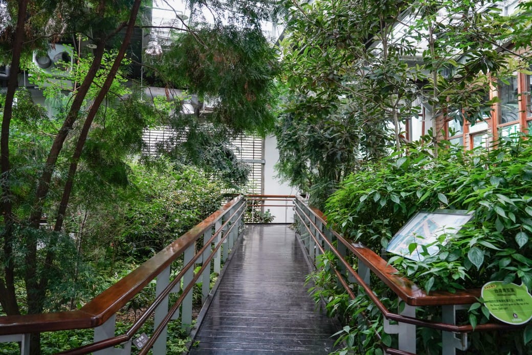 台北典藏植物園，免費森林打卡景點充滿芬多精，親子景點雨天備案