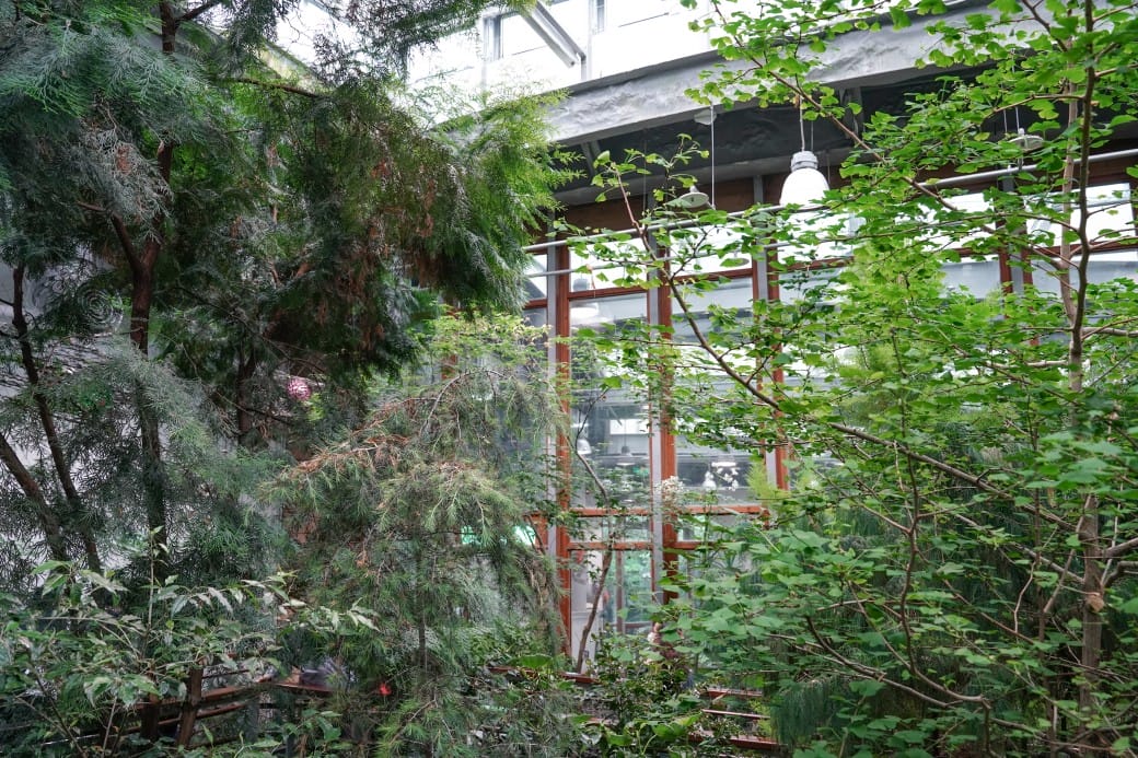 台北典藏植物園，免費森林打卡景點充滿芬多精，親子景點雨天備案