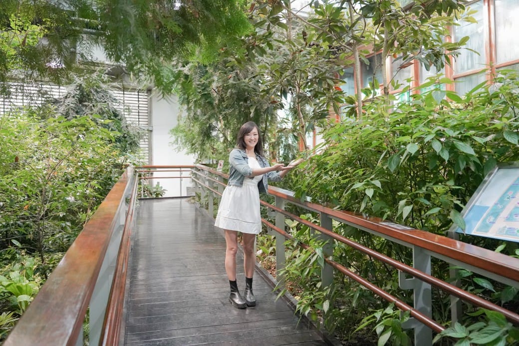 台北典藏植物園，免費森林打卡景點充滿芬多精，親子景點雨天備案