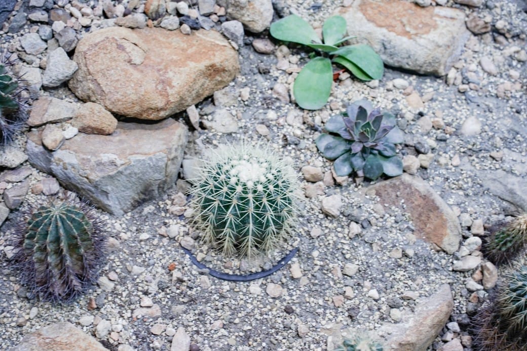 台北典藏植物園，免費森林打卡景點充滿芬多精，親子景點雨天備案