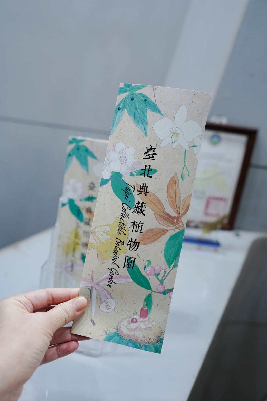 台北典藏植物園，免費森林打卡景點充滿芬多精，親子景點雨天備案