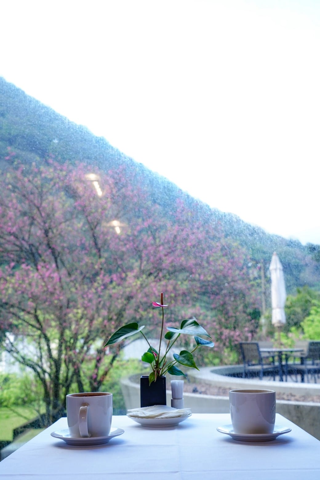 台北陽明山溫泉飯店推薦｜雀客藏居，稀有的白磺泉有大眾池以及個人湯屋，山泉水泳池，自助早餐也很推薦！