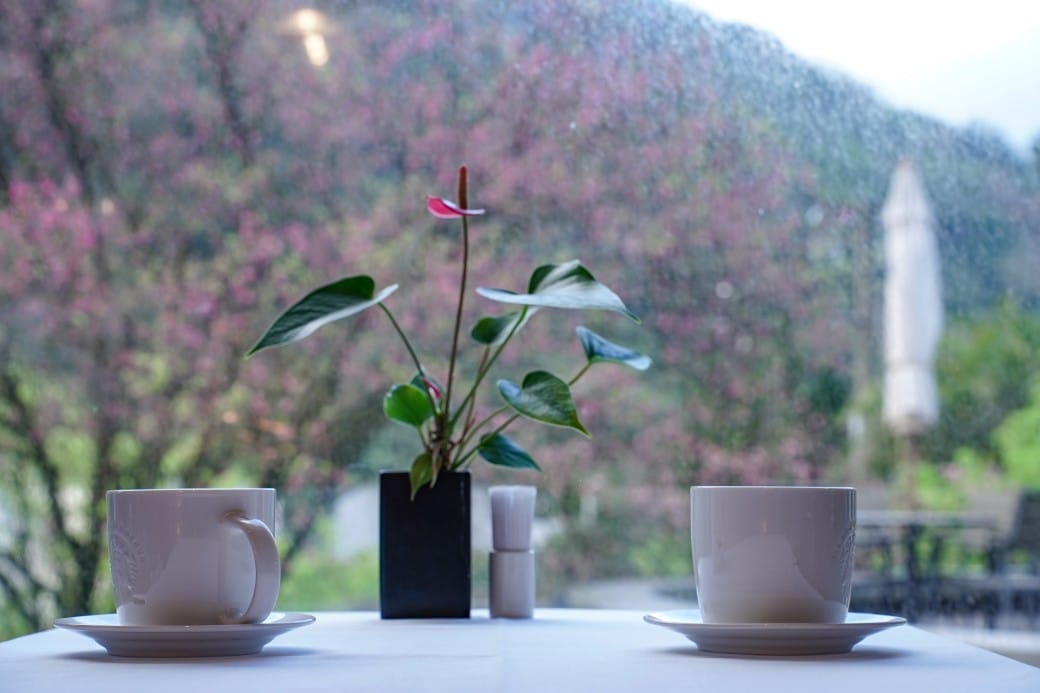 台北陽明山溫泉飯店推薦｜雀客藏居，稀有的白磺泉有大眾池以及個人湯屋，山泉水泳池，自助早餐也很推薦！