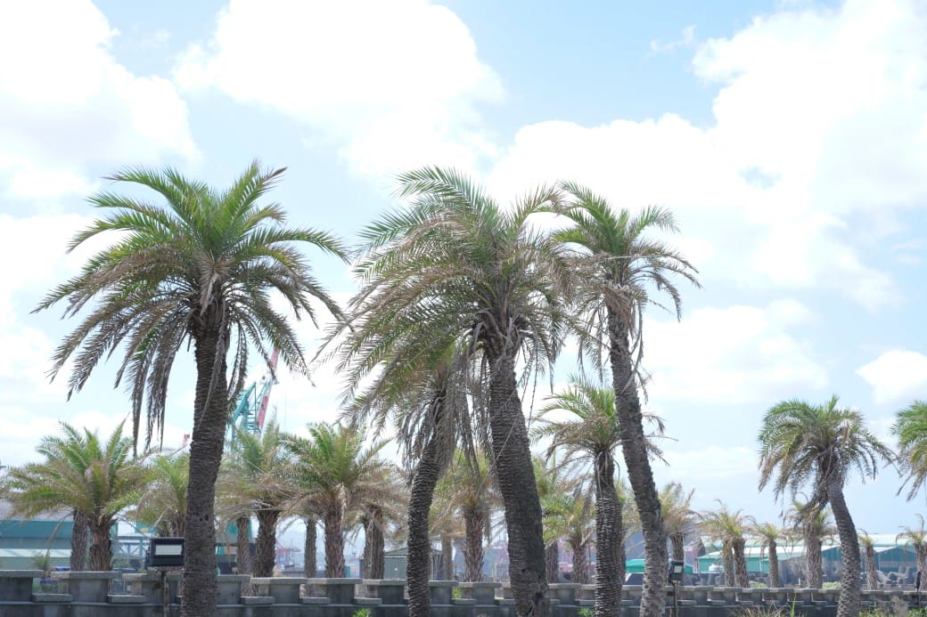 基隆和平島地質公園,天然海水游泳池還有寵物游泳池,優惠門票 - 第35張圖 基隆和平島地質公園,天然海水游泳池還有寵物游泳池,優惠門票