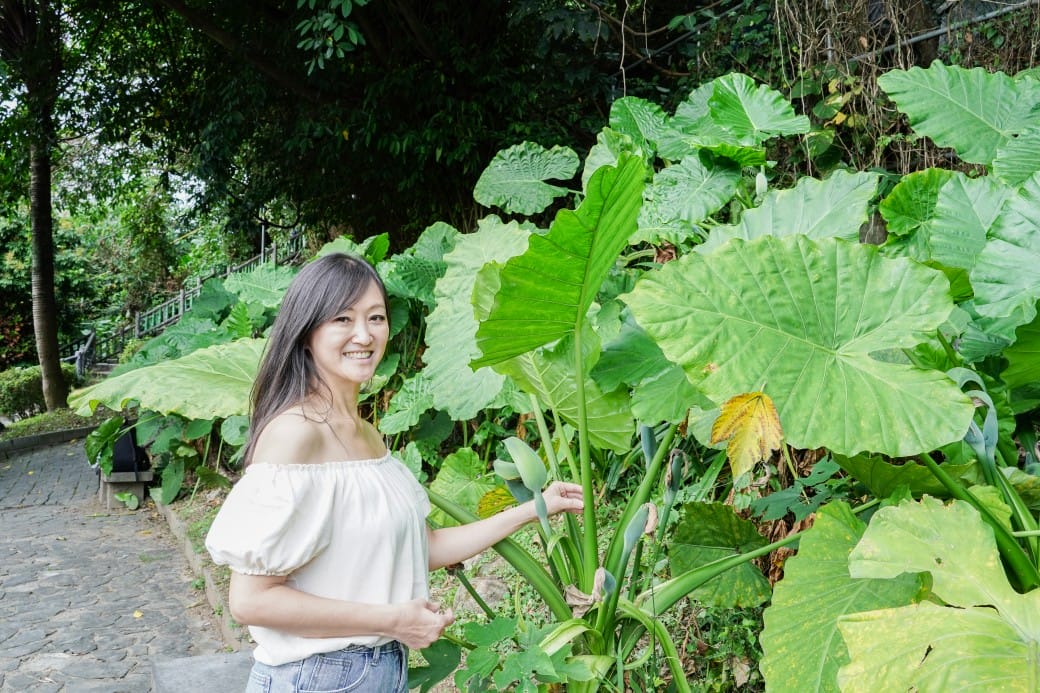 板橋染髮推薦|Wor hair 府中店女生不分長度染燙不用再加價超級划算的,燙髮護髮染髮推薦,剪髮只要250! - 第47張圖 板橋染髮推薦|Wor hair 府中店女生不分長度染燙不用再加價超級划算的,燙髮護髮染髮推薦,剪髮只要250!