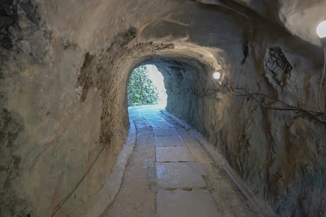 2024基隆嶼登島心得｜開放時間，船家登島資訊預約申請，登島一日遊攻略