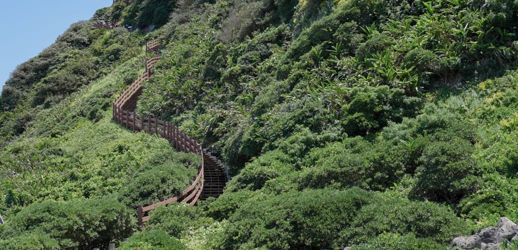 2024基隆嶼登島心得｜開放時間，船家登島資訊預約申請，登島一日遊攻略