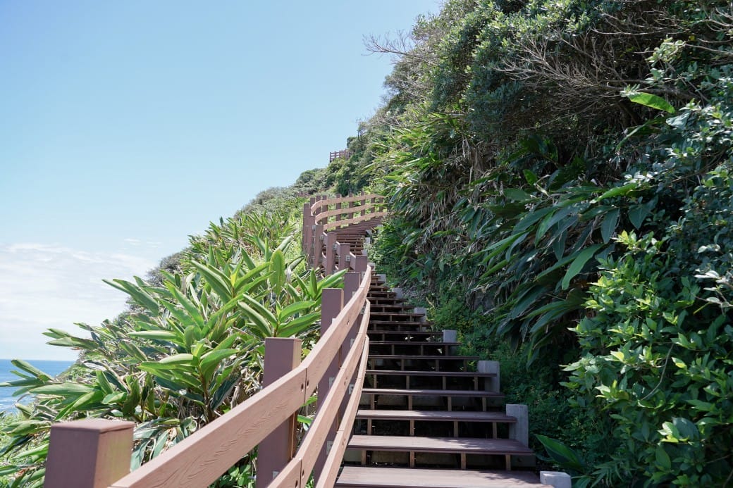 2024基隆嶼登島心得｜開放時間，船家登島資訊預約申請，登島一日遊攻略