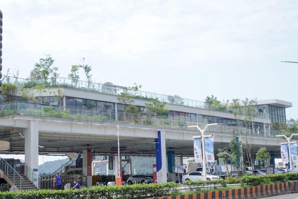 麗都蝶客花園|基隆東岸旅客中心,AR鯨鯊共游拍照打卡,基隆最美觀海平台 - 第8張圖 麗都蝶客花園|基隆東岸旅客中心,AR鯨鯊共游拍照打卡,基隆最美觀海平台