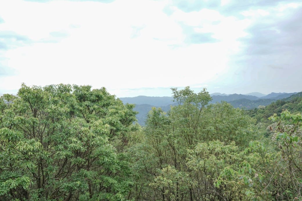 新北石碇海倫咖啡廳，無敵景觀山景，北宜公路上的無敵景觀咖啡廳