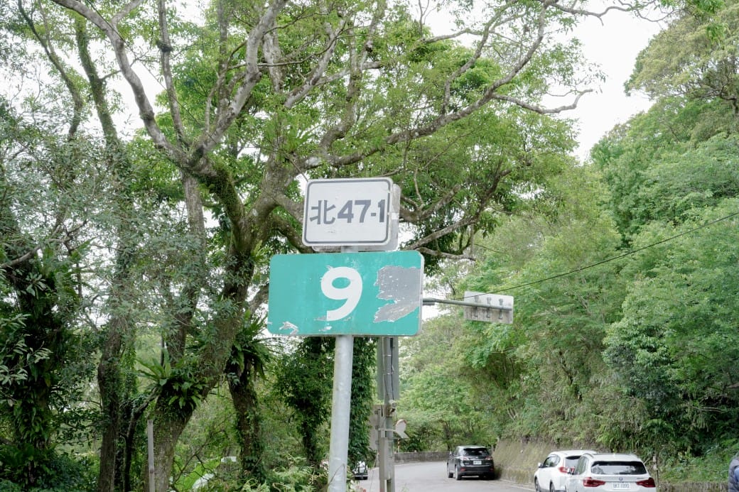 新北石碇桐花步道，賞桐花秘境加上絕美茶園層層山巒，賞桐景點公開！