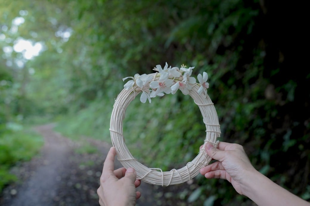 新北石碇桐花步道，賞桐花秘境加上絕美茶園層層山巒，賞桐景點公開！