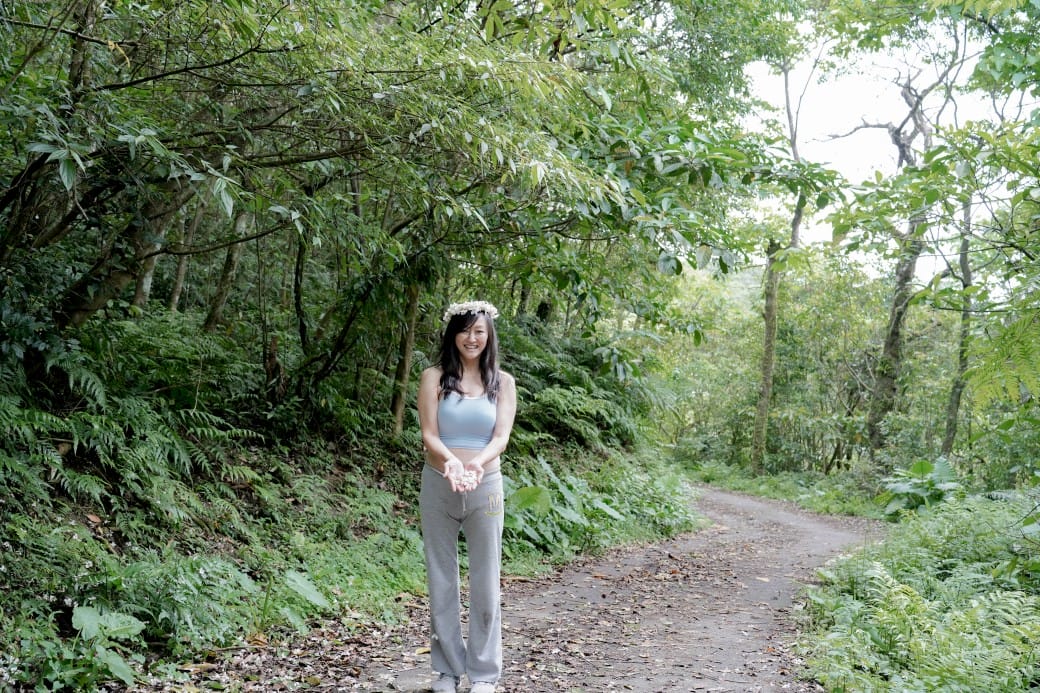 新北石碇桐花步道，賞桐花秘境加上絕美茶園層層山巒，賞桐景點公開！