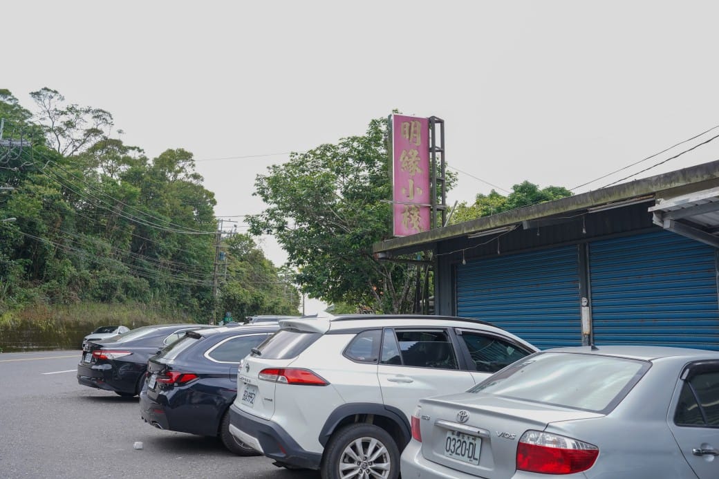 新北石碇桐花步道，賞桐花秘境加上絕美茶園層層山巒，賞桐景點公開！