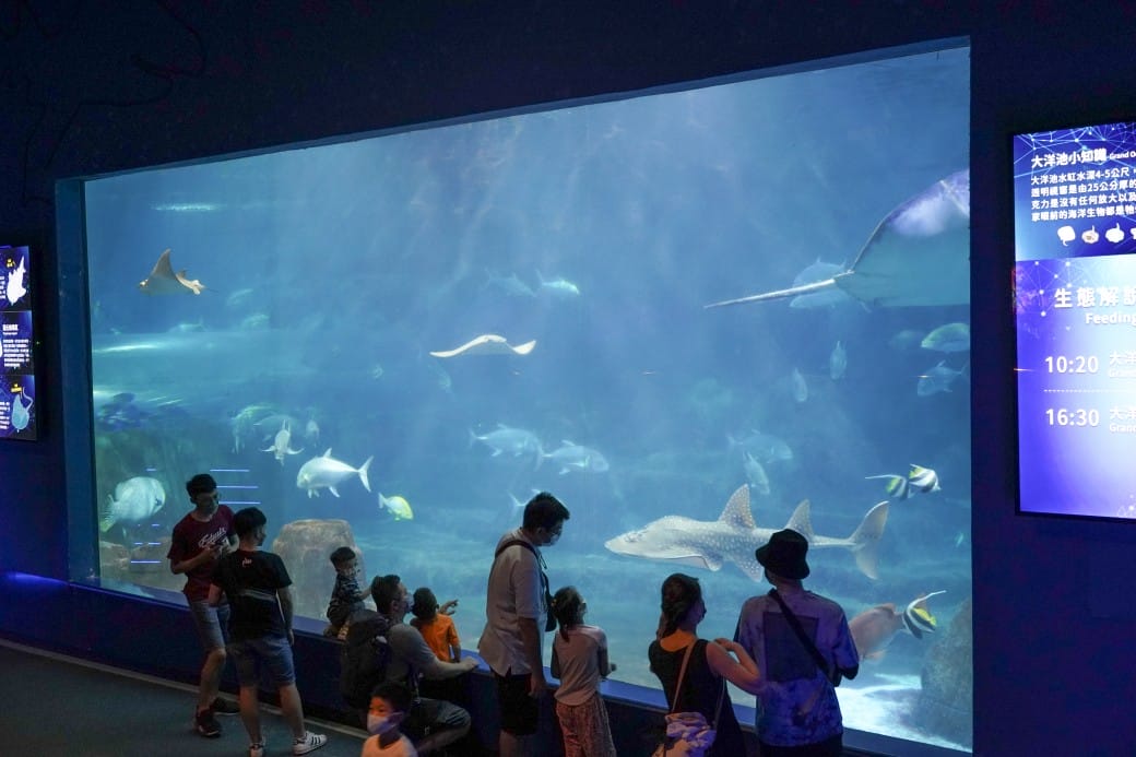 花蓮遠雄海洋公園攻略｜必玩設施，夜宿資訊，KLOOK門票優惠資訊