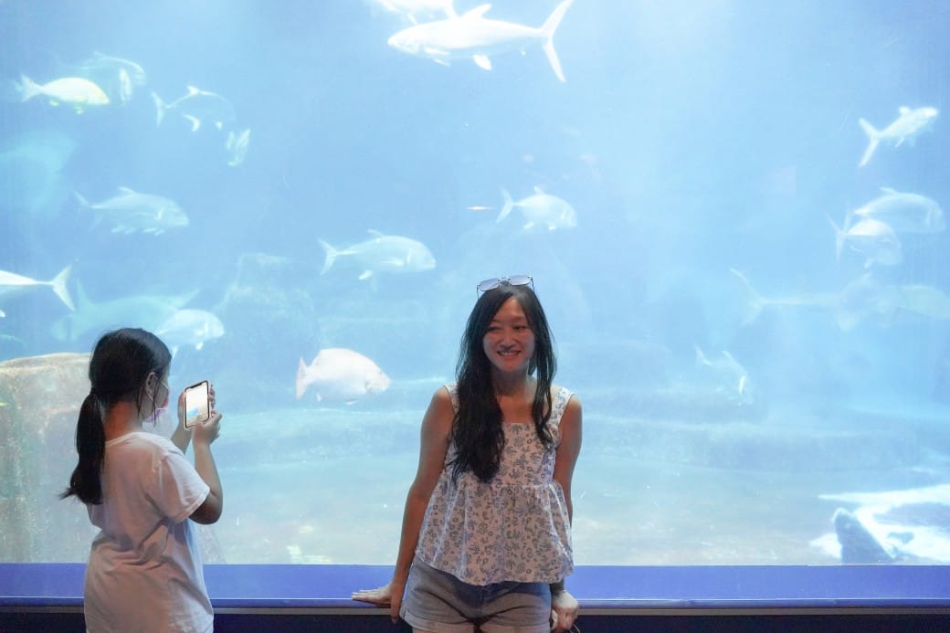 花蓮遠雄海洋公園攻略｜必玩設施，夜宿資訊，KLOOK門票優惠資訊