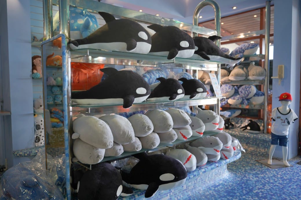 花蓮遠雄海洋公園攻略｜必玩設施，夜宿資訊，KLOOK門票優惠資訊