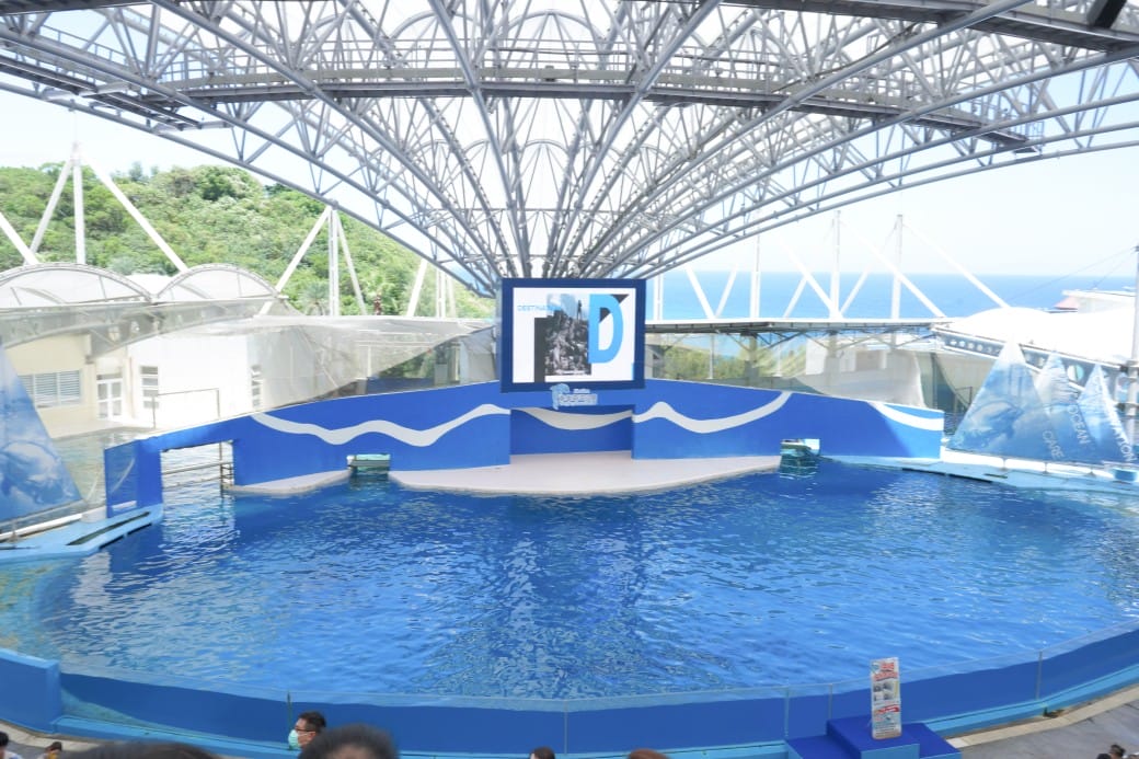 花蓮遠雄海洋公園攻略｜必玩設施，夜宿資訊，KLOOK門票優惠資訊