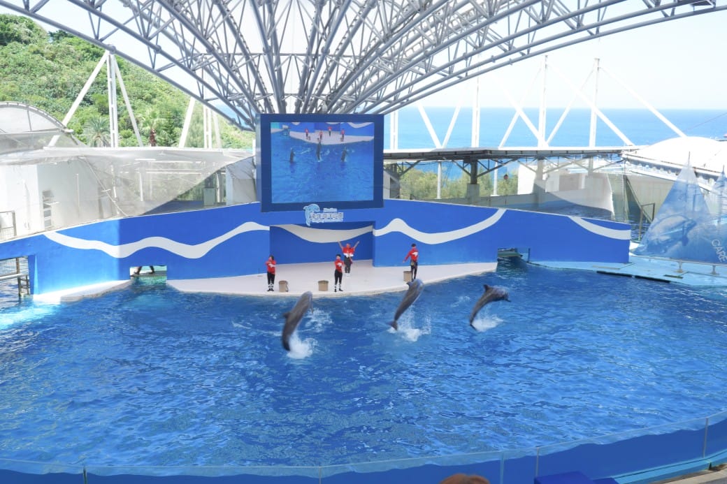 花蓮遠雄海洋公園攻略｜必玩設施，夜宿資訊，KLOOK門票優惠資訊