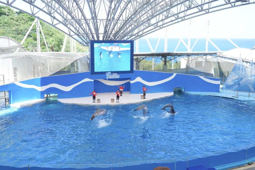 花蓮遠雄海洋公園攻略｜必玩設施，夜宿資訊，KLOOK門票優惠資訊