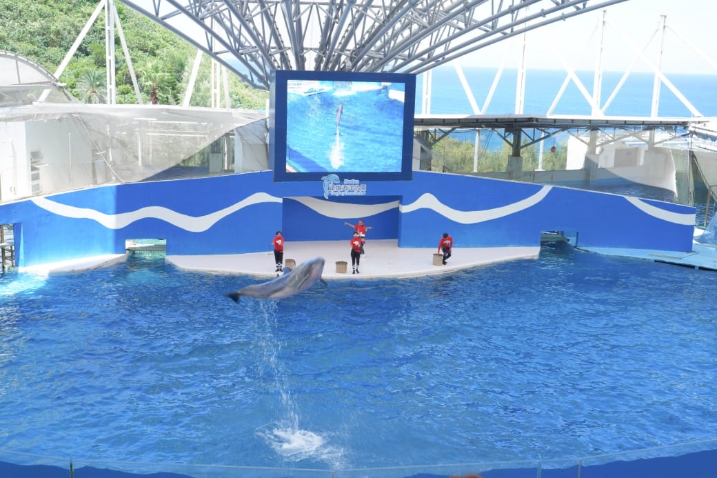 花蓮遠雄海洋公園攻略｜必玩設施，夜宿資訊，KLOOK門票優惠資訊