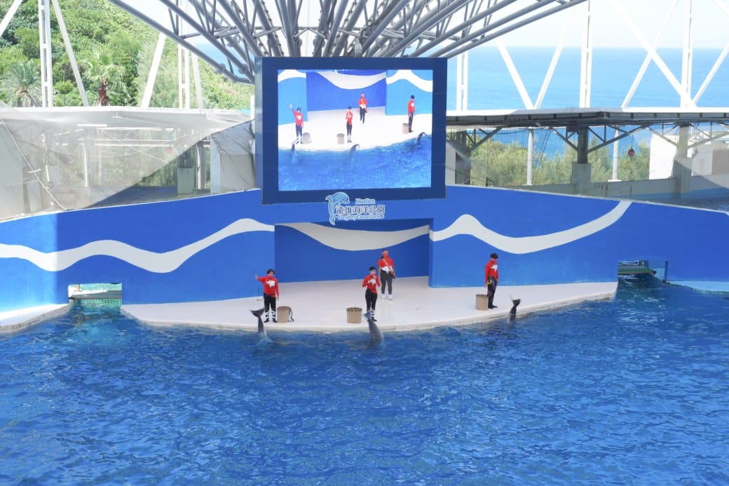 花蓮遠雄海洋公園攻略｜必玩設施，夜宿資訊，KLOOK門票優惠資訊