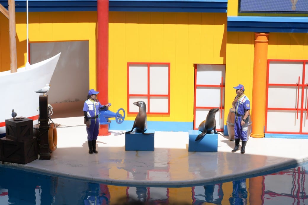 花蓮遠雄海洋公園攻略｜必玩設施，夜宿資訊，KLOOK門票優惠資訊