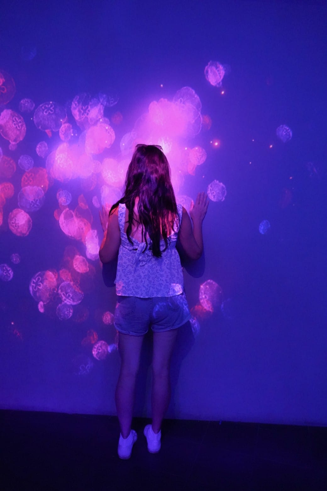 花蓮遠雄海洋公園攻略｜必玩設施，夜宿資訊，KLOOK門票優惠資訊