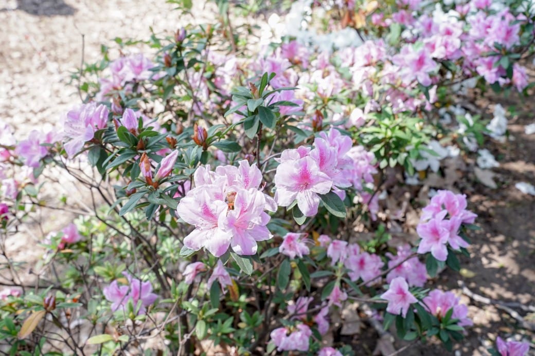 北投秘境，三軍總醫院北投分院也有免費溫泉泡腳池！