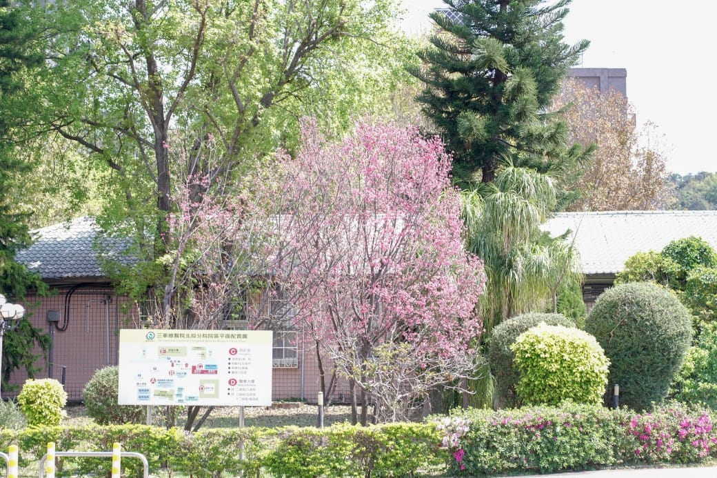 北投秘境,三軍總醫院北投分院也有免費溫泉泡腳池! - 第5張圖 北投秘境,三軍總醫院北投分院也有免費溫泉泡腳池!