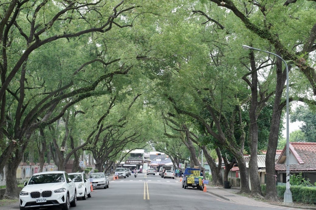 合宏眼鏡咖啡館，南投中興新村第三市場旁的森林系景觀咖啡廳，在眼鏡行裡喝咖啡，看著綠色隧道超級療癒的