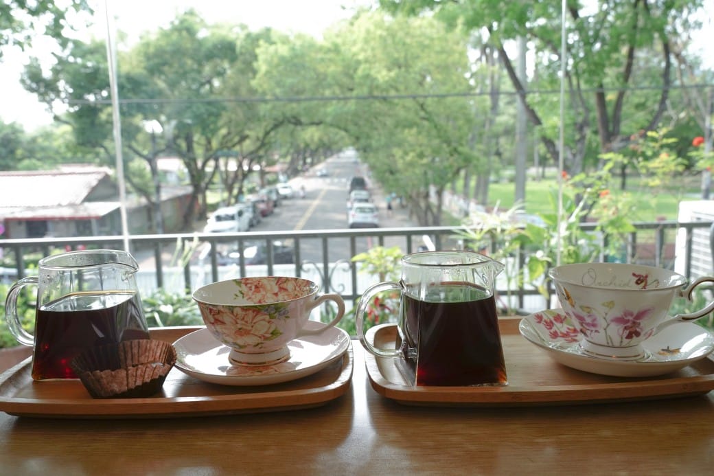 合宏眼鏡咖啡館，南投中興新村第三市場旁的森林系景觀咖啡廳，在眼鏡行裡喝咖啡，看著綠色隧道超級療癒的