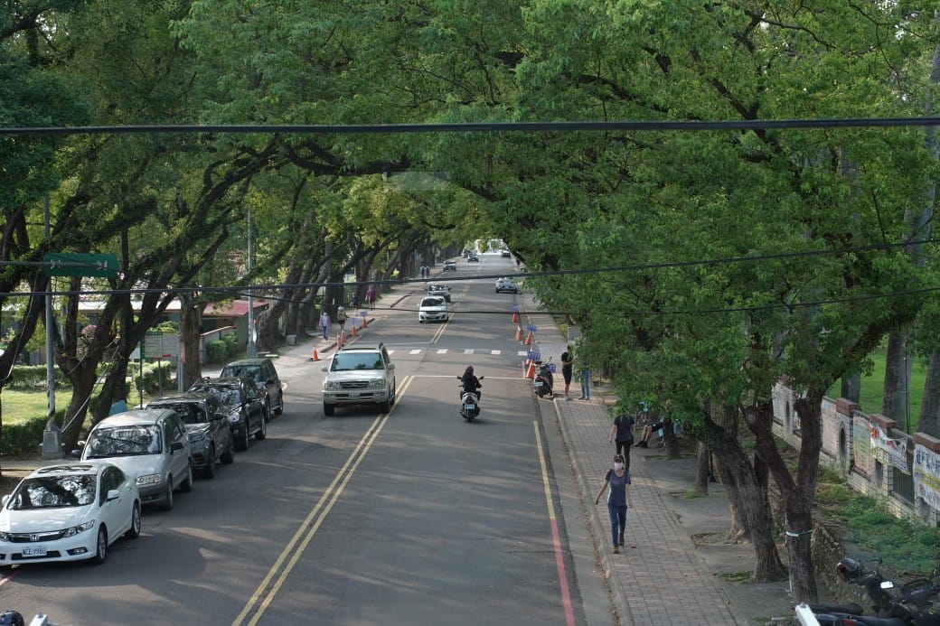 合宏眼鏡咖啡館，南投中興新村第三市場旁的森林系景觀咖啡廳，在眼鏡行裡喝咖啡，看著綠色隧道超級療癒的