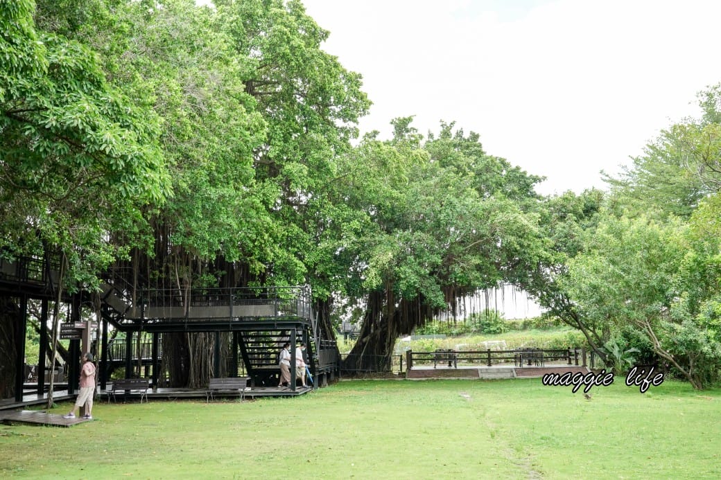 台南安平樹屋|樹屋咖啡館,安平老街裡的老樹區世外桃源,朱玖瑩故居,布滿樹根的空橋步道,優惠門票,台南一日遊 - 第23張圖 台南安平樹屋|樹屋咖啡館,安平老街裡的老樹區世外桃源,朱玖瑩故居,布滿樹根的空橋步道,優惠門票,台南一日遊