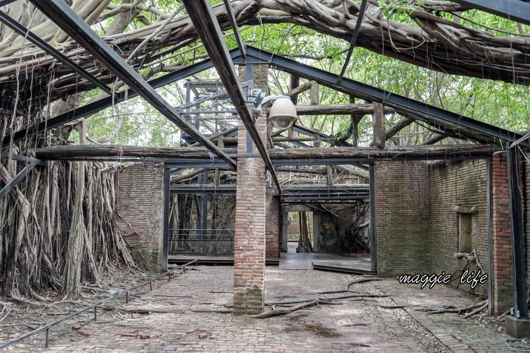 台南安平樹屋｜樹屋咖啡館，安平老街裡的老樹區世外桃源，朱玖瑩故居，布滿樹根的空橋步道，優惠門票，台南一日遊