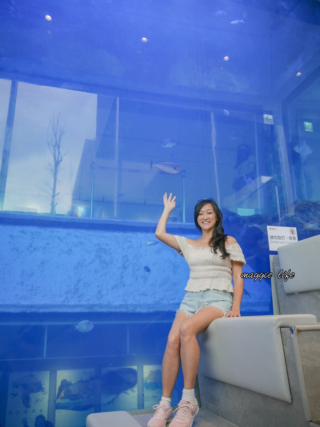 基隆親子景點｜基隆潮境智能海洋館攻略，超強超大水族缸，門票優惠！