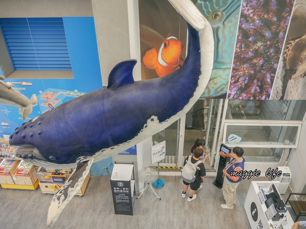 基隆親子景點｜基隆潮境智能海洋館攻略，超強超大水族缸，門票優惠！