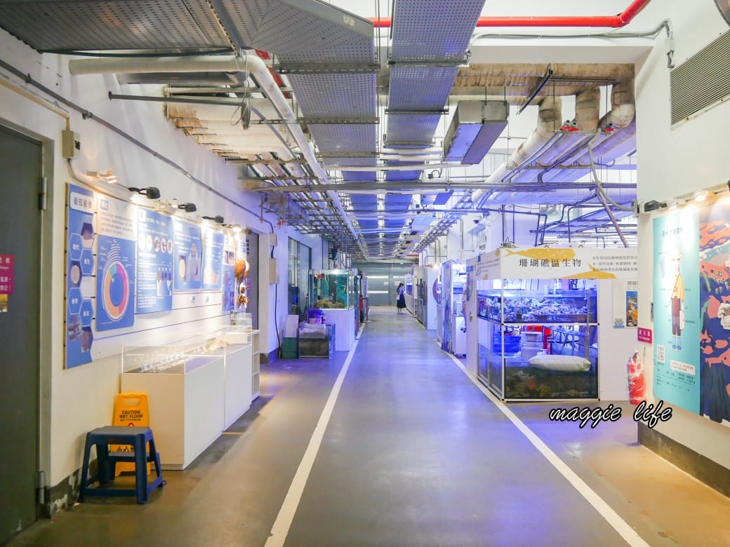 基隆親子景點｜基隆潮境智能海洋館攻略，超強超大水族缸，門票優惠！