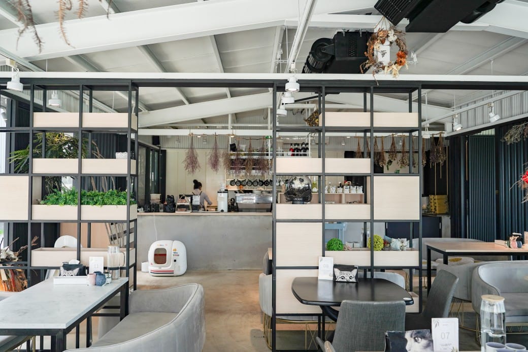 貓禾景觀咖啡｜桃園乳姑山夜景餐廳，貓禾咖啡山上的玻璃泡泡屋景觀咖啡廳， 180度景觀遠眺101，百萬夜景超迷人，約會景點