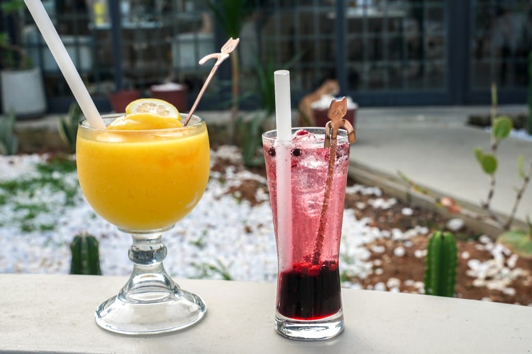 貓禾景觀咖啡｜桃園乳姑山夜景餐廳，貓禾咖啡山上的玻璃泡泡屋景觀咖啡廳， 180度景觀遠眺101，百萬夜景超迷人，約會景點