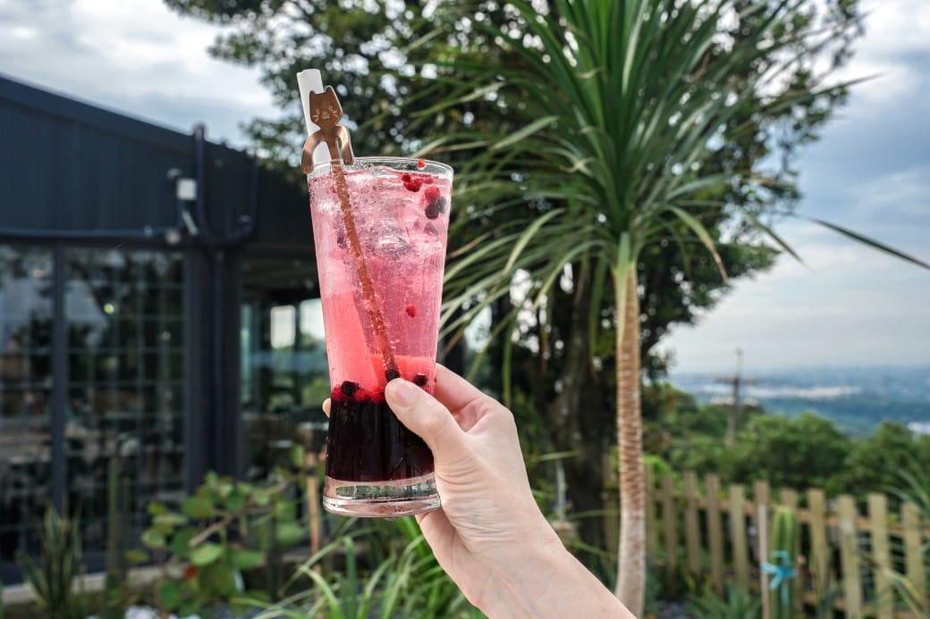 貓禾景觀咖啡｜桃園乳姑山夜景餐廳，貓禾咖啡山上的玻璃泡泡屋景觀咖啡廳， 180度景觀遠眺101，百萬夜景超迷人，約會景點