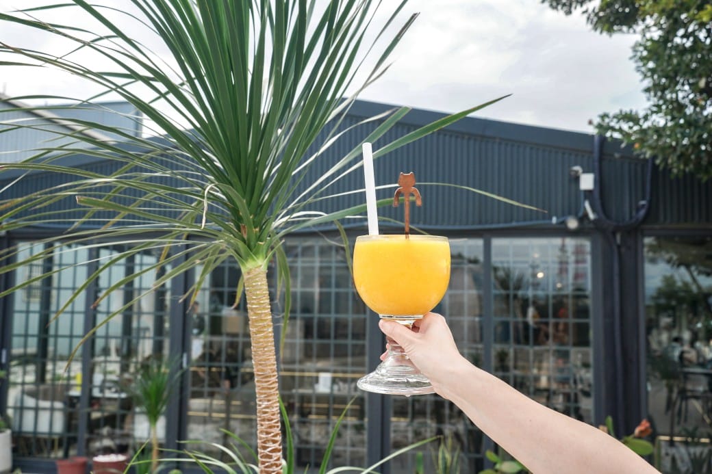 貓禾景觀咖啡｜桃園乳姑山夜景餐廳，貓禾咖啡山上的玻璃泡泡屋景觀咖啡廳， 180度景觀遠眺101，百萬夜景超迷人，約會景點