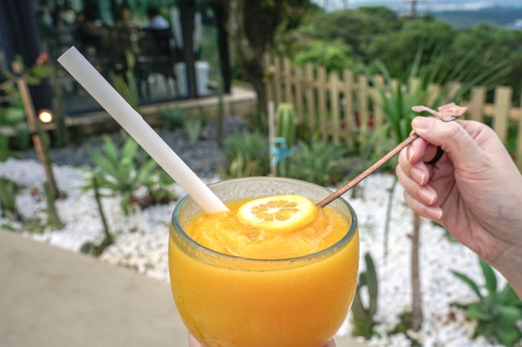 貓禾景觀咖啡｜桃園乳姑山夜景餐廳，貓禾咖啡山上的玻璃泡泡屋景觀咖啡廳， 180度景觀遠眺101，百萬夜景超迷人，約會景點