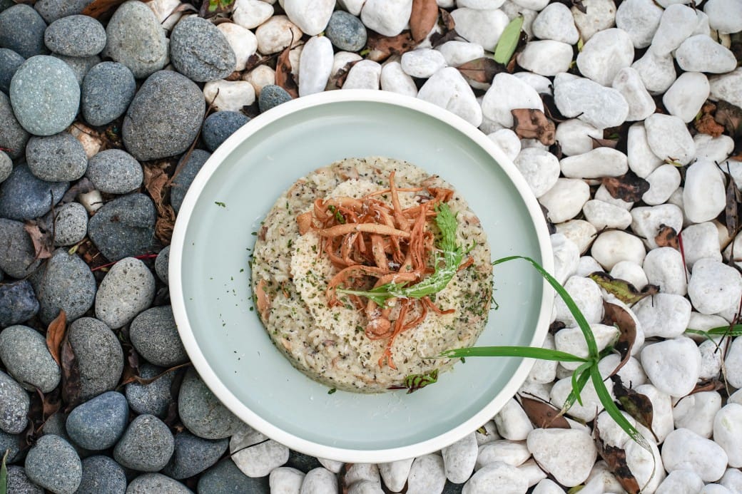 貓禾景觀咖啡｜桃園乳姑山夜景餐廳，貓禾咖啡山上的玻璃泡泡屋景觀咖啡廳， 180度景觀遠眺101，百萬夜景超迷人，約會景點