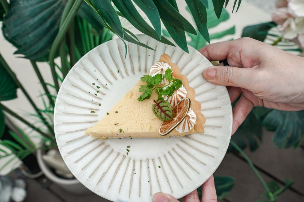 貓禾景觀咖啡｜桃園乳姑山夜景餐廳，貓禾咖啡山上的玻璃泡泡屋景觀咖啡廳， 180度景觀遠眺101，百萬夜景超迷人，約會景點