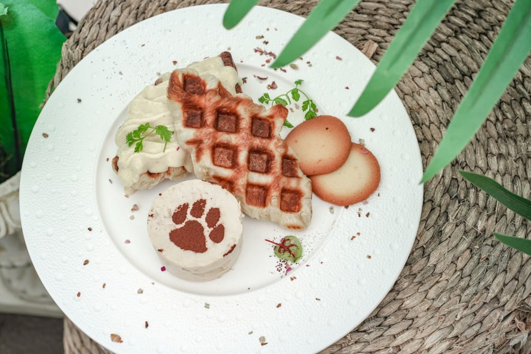 貓禾景觀咖啡｜桃園乳姑山夜景餐廳，貓禾咖啡山上的玻璃泡泡屋景觀咖啡廳， 180度景觀遠眺101，百萬夜景超迷人，約會景點